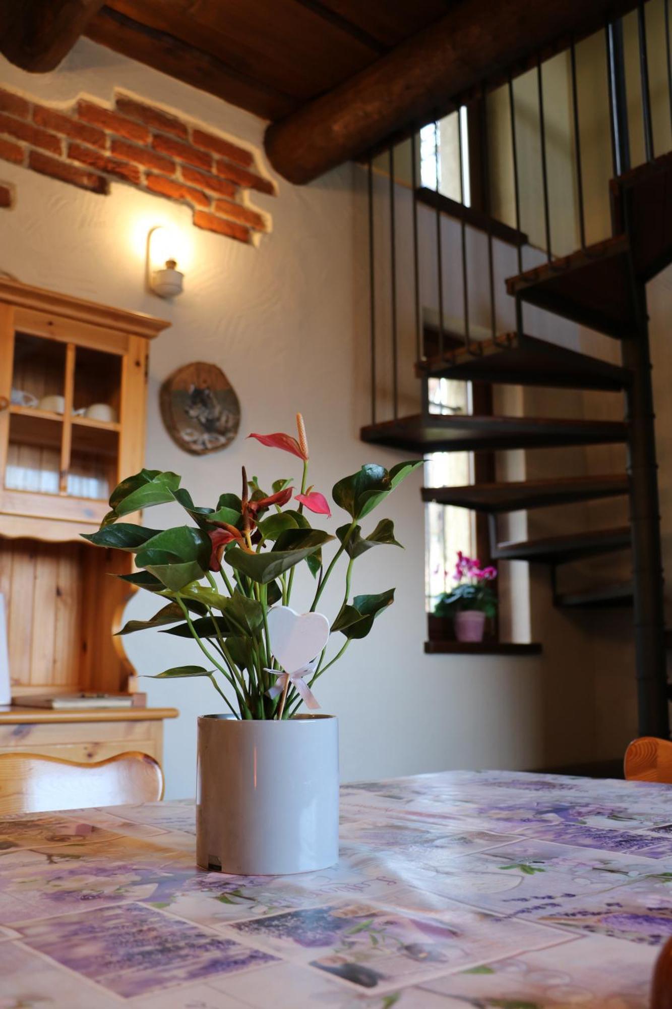 Casa Vacanze Le Primule Peveragno Kültér fotó