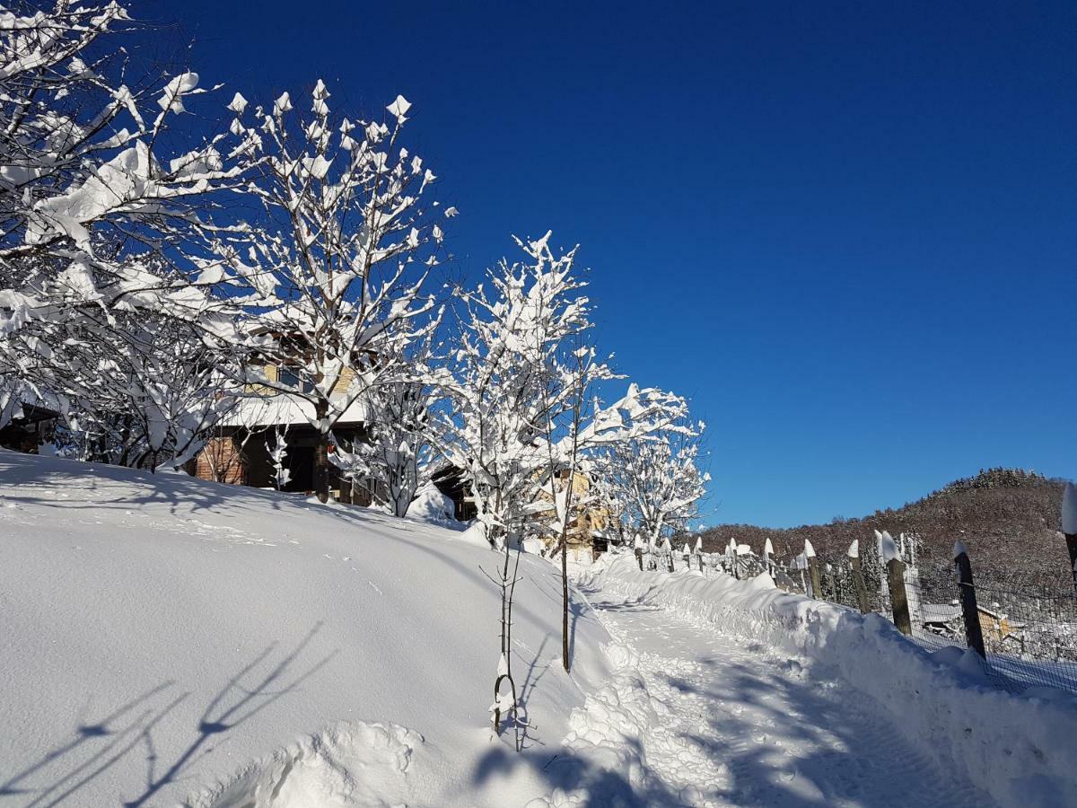Casa Vacanze Le Primule Peveragno Kültér fotó