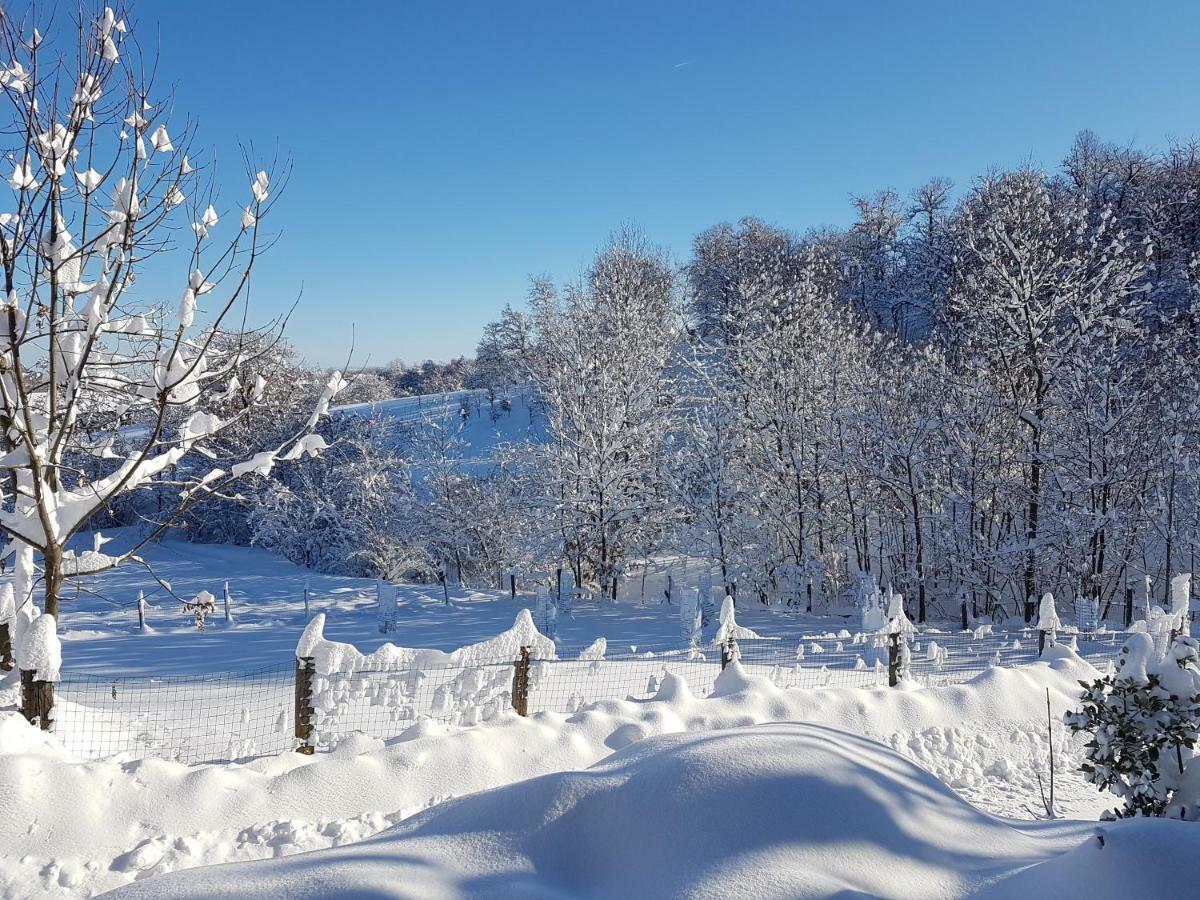 Casa Vacanze Le Primule Peveragno Kültér fotó