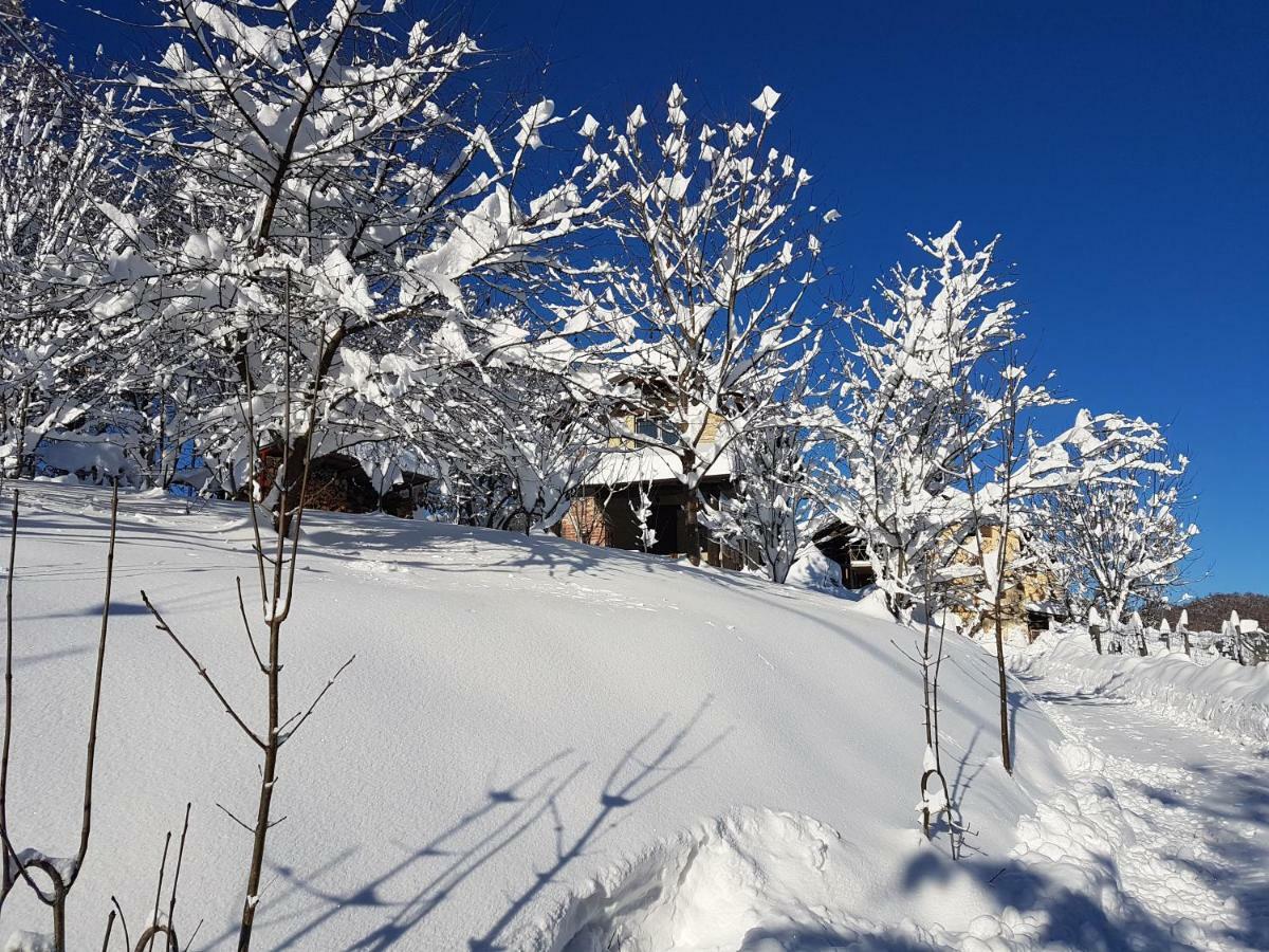 Casa Vacanze Le Primule Peveragno Kültér fotó